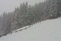 20130207_114933