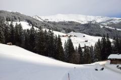 20130208_091924