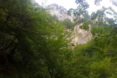 20130818_082027