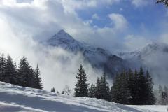 20150202_112739