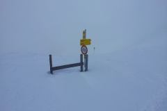 20150202_115259