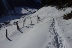 20150204_113208