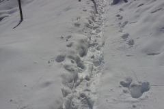 20150204_114019