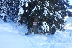 20150204_130023