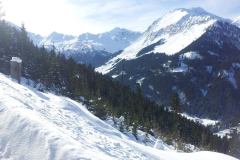 20150204_135816