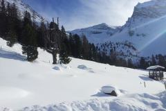 20150204_141416