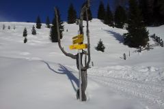 20150204_141434