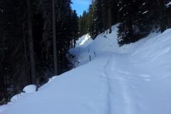 20150204_151059