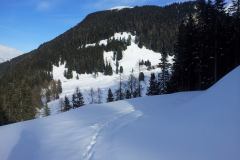 20150204_151605