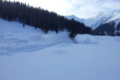 20150204_152747