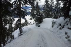 20150205_101759
