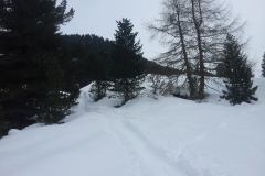 20150205_121303