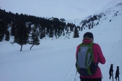 20150205_122941