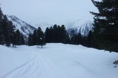20150205_122953