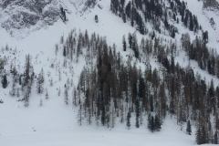 20150205_132043