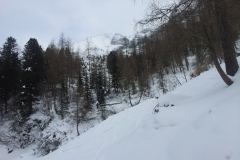 20150205_132403