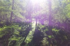 20150605_104757