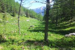 20150605_104836