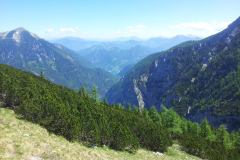 20150605_113622