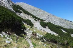 20150605_135441