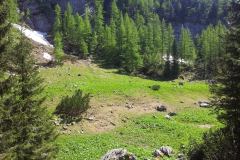 20150605_153037