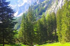 20150605_155741