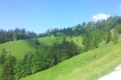 20150606_093040