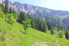 20150606_095144