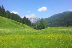 20150606_154341