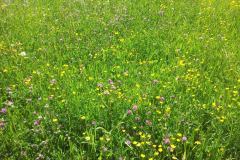 20150606_154347