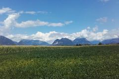 20150818_115248