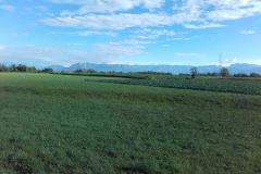 20150820_083734