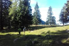 20150830_085603