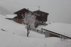20160131_081744