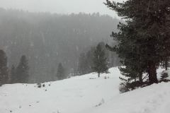 20160203_123231