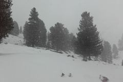 20160203_124534
