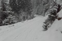 20160203_141626