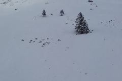 20160205_105501