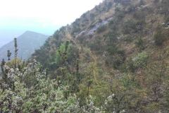 20160510_112935