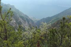 20160510_112941