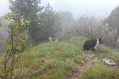 20160510_124346