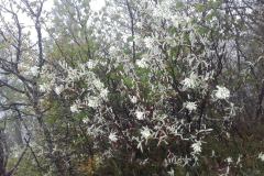 20160510_124356