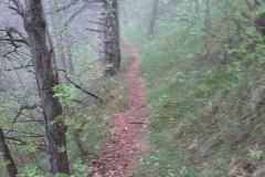20160510_125833