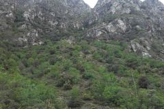 20160512_105244