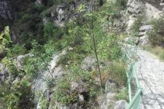 20160512_152807