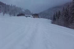 20170207_091959