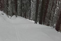20170207_103308