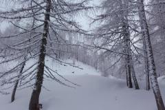 20170207_114229