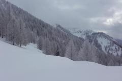 20170207_114955