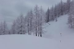20170207_114959